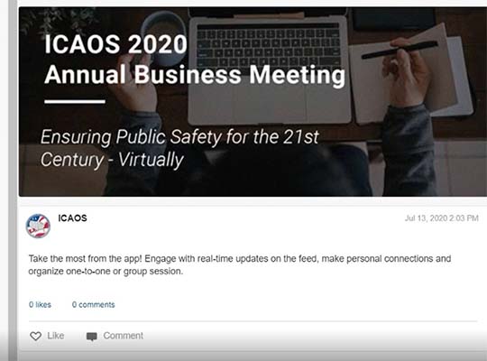 The Commission holds its first Virtual Annual Business Meeting in 2020.